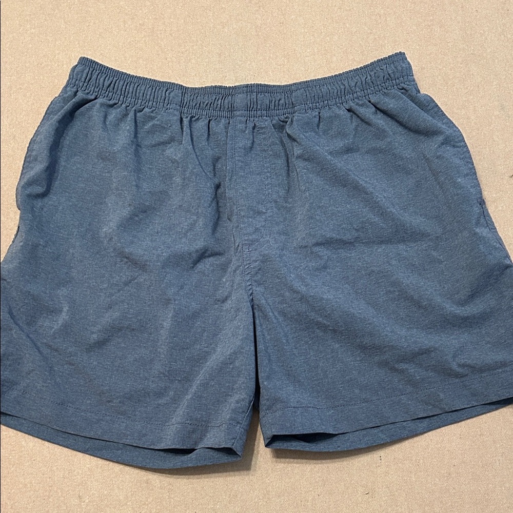 Chubbies light blue Shorts